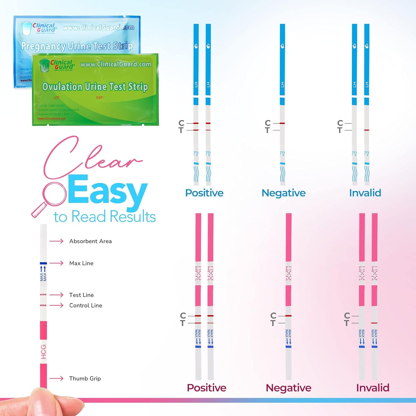 Clinical Guard Urine Test Strips Combo Ovulation and Pregnancy 6 - How to Read Results