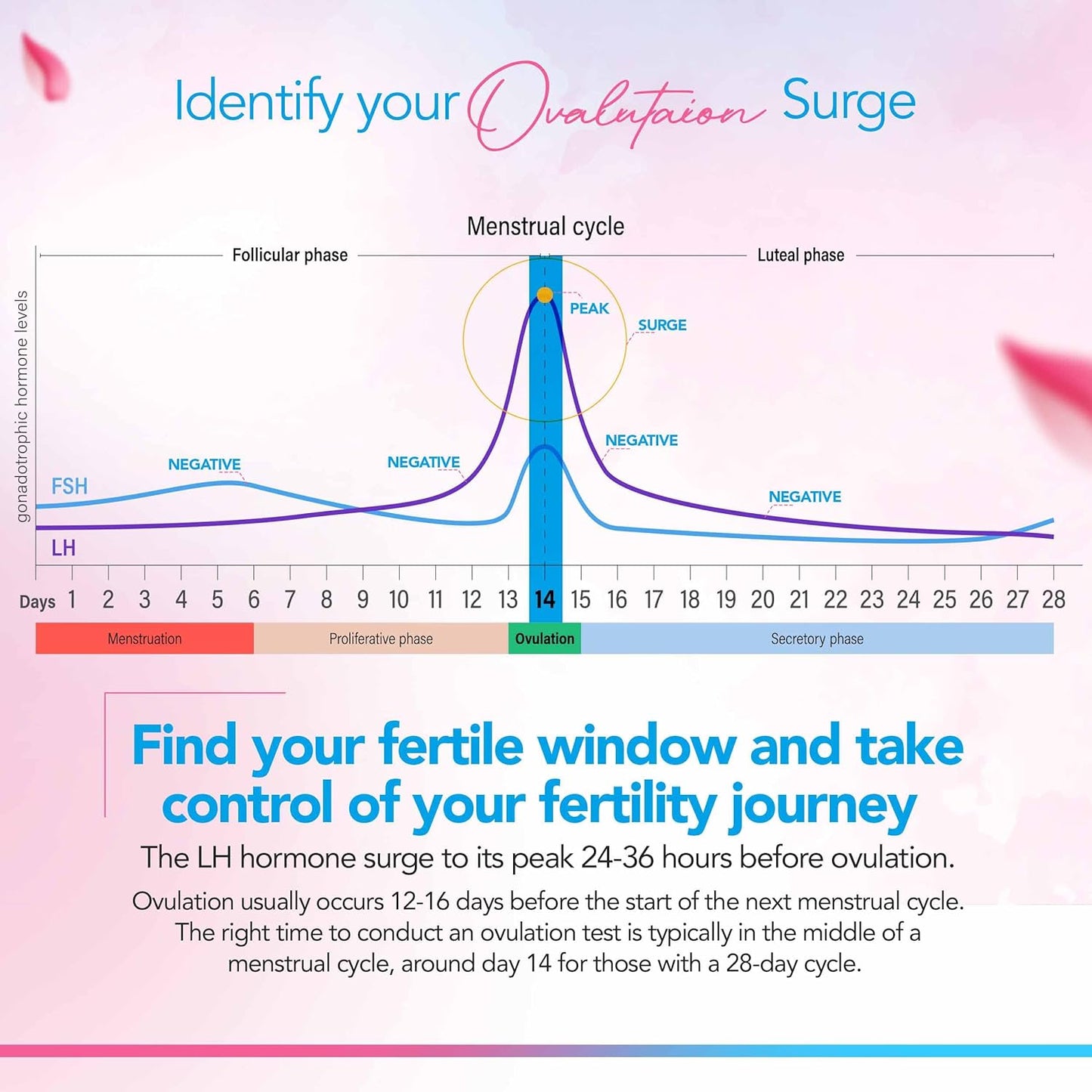 Clinical Guard Urine Test Strips Combo Ovulation and Pregnancy 8 - Fertile Window Illustration