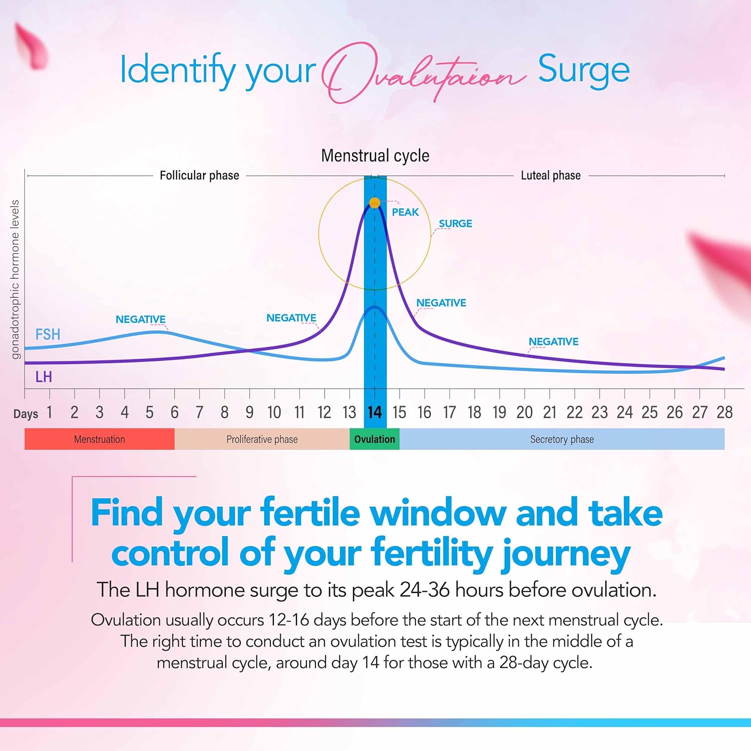 Combo Ovulation and Pregnancy Urine Test Strips Image 6 - Fertile Window Illustration